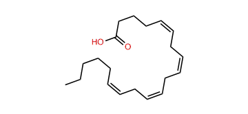 (Z,Z,Z,Z)-5,8,11,14-Eicosatetraenoic acid